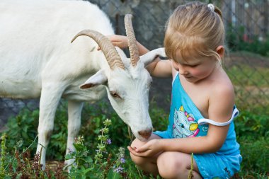 küçük kız bir keçi ile oynama