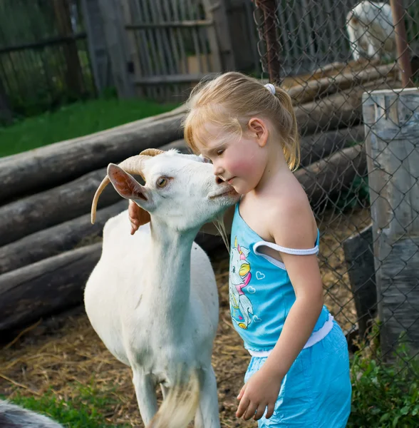 Little girl playing with a goat — Stock Photo, Image