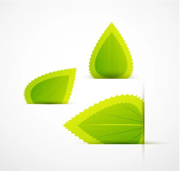 Étiquettes à feuilles — Image vectorielle