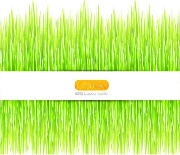 Vector green summer grass background — Stock Vector
