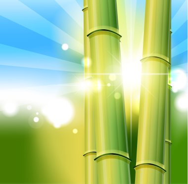 Bamboo nature background clipart