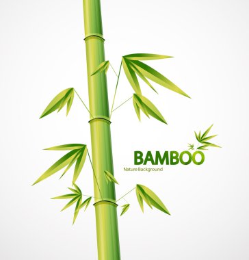 Bamboo stem abstract nature background clipart