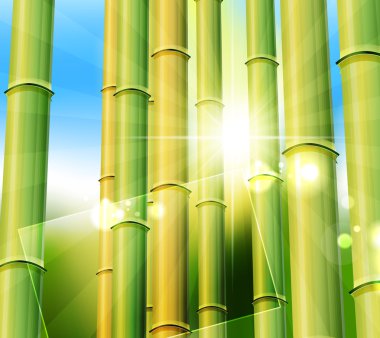 Bamboo nature background clipart