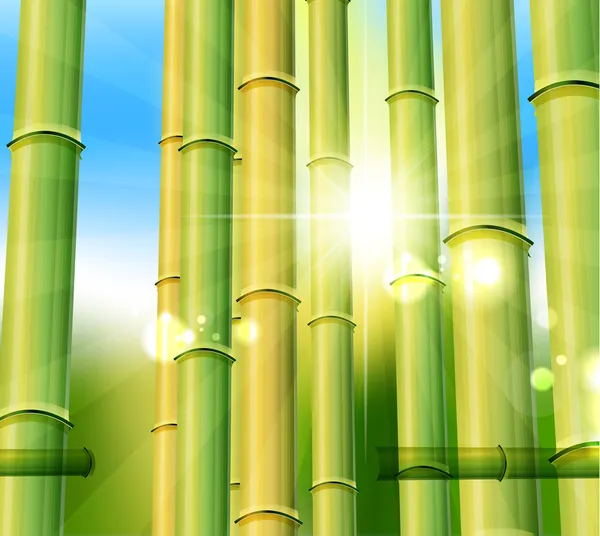 Fundo de natureza de bambu —  Vetores de Stock