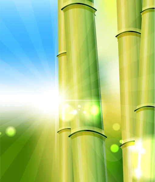 stock vector Bamboo nature background