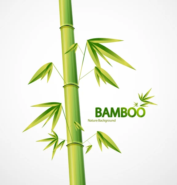 Haste de bambu abstrato natureza fundo —  Vetores de Stock