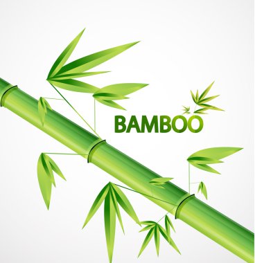 Vector bamboo background clipart