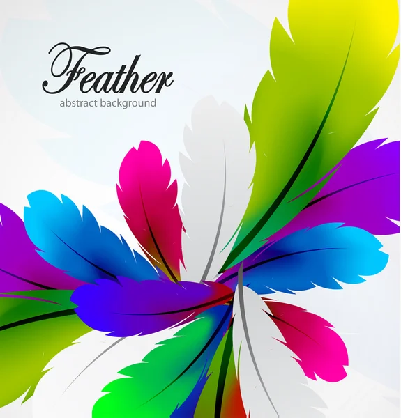 Vector colorful feather background — Stock Vector
