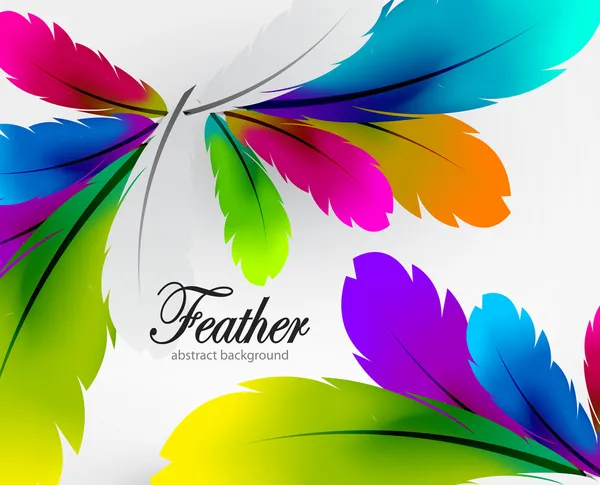 Vecteur fond de plume coloré — Image vectorielle