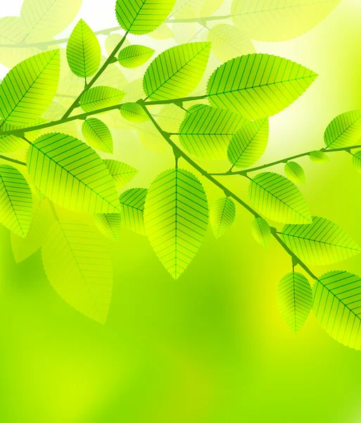 Frische grüne Blätter Vektor abstrakten Hintergrund — Stockvektor