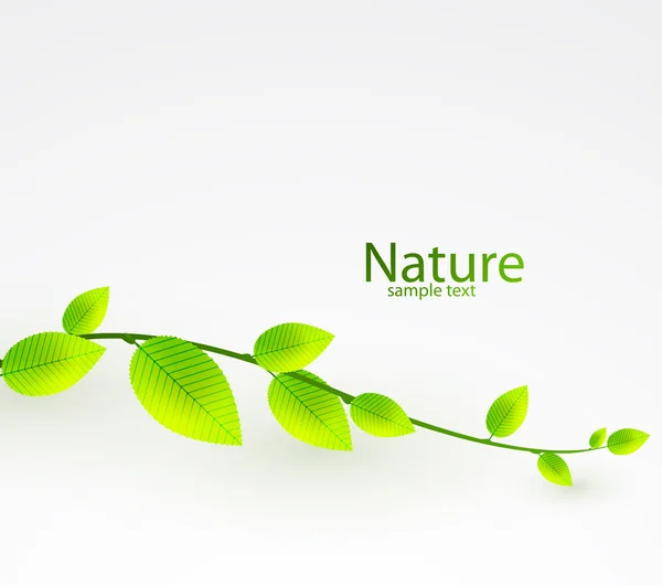 新鲜绿色的树叶矢量抽象背景 — 图库矢量图片