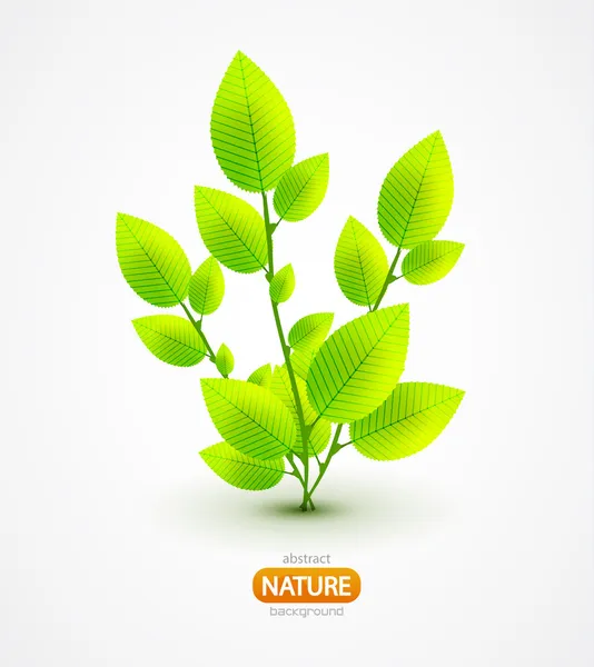 Świeże liście zielone tło wektor — Wektor stockowy