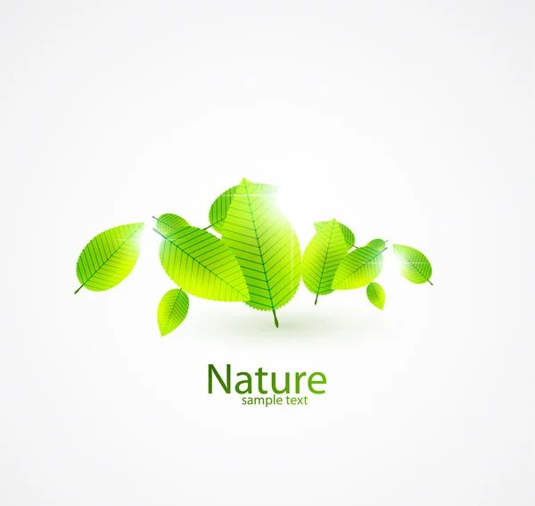 Frische grüne Blätter Vektor abstrakten Hintergrund — Stockvektor