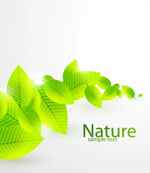 Fresh green leaves vector abstract background — Stock Vector