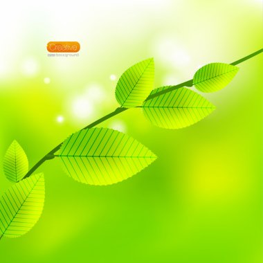 Fresh vector abstract nature backrgound clipart