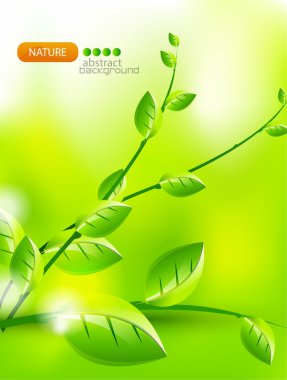 Nature vector background clipart