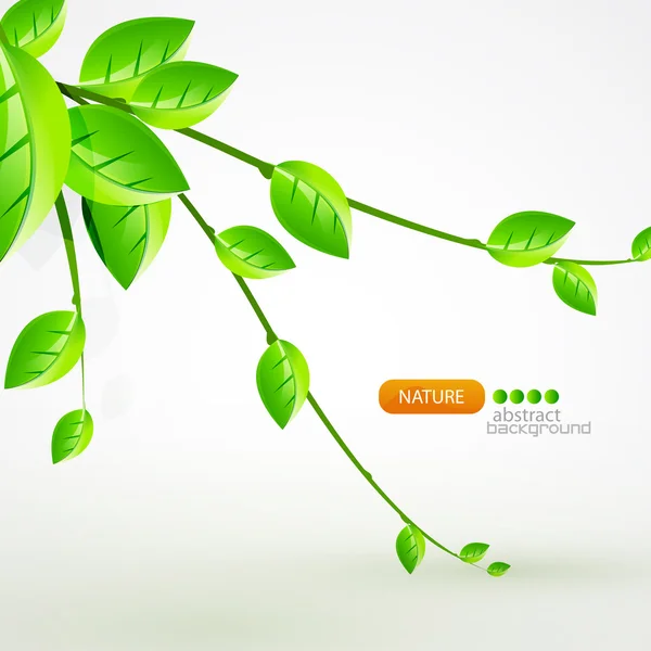 Nature vector background — Stock Vector