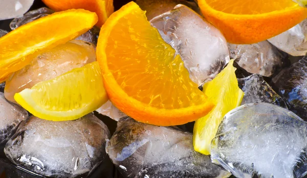 Citrus fruits and ice — Stock Photo, Image