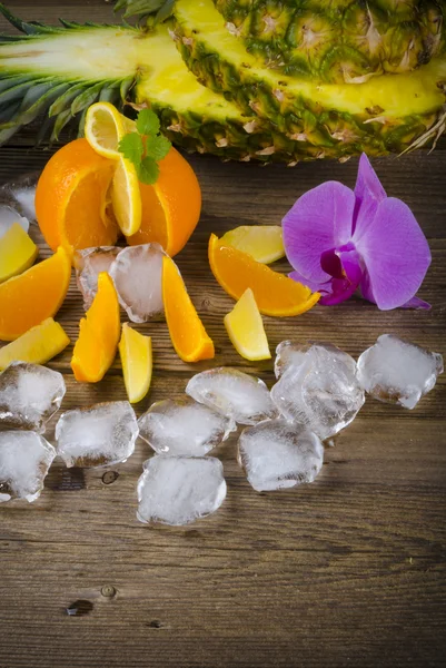 Citrus fruits and ice — Stock Photo, Image