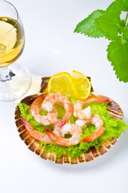 Shrimp salad clipart