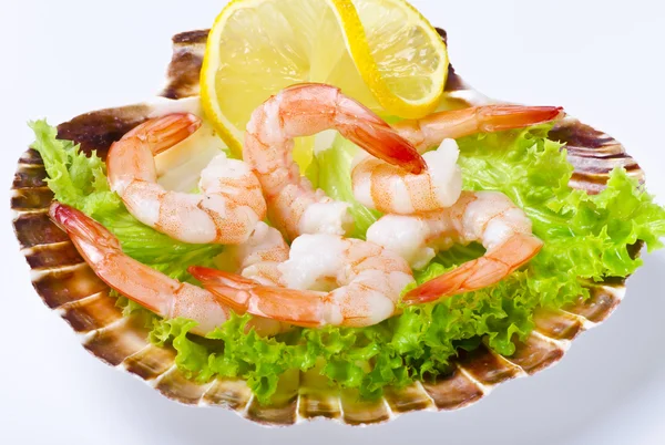 Shrimp salad — Stock Photo, Image