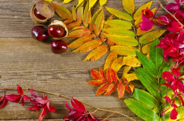 Autumin