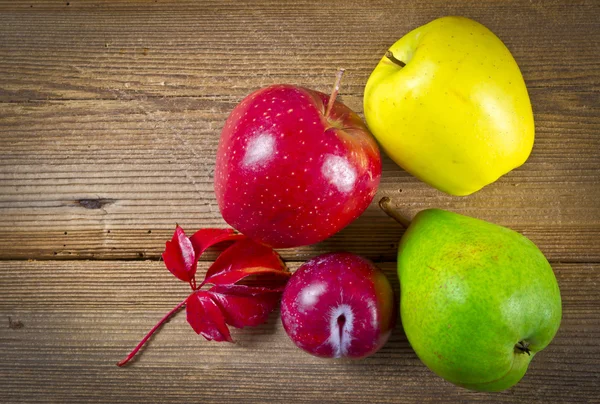 Fruta de autumina — Fotografia de Stock