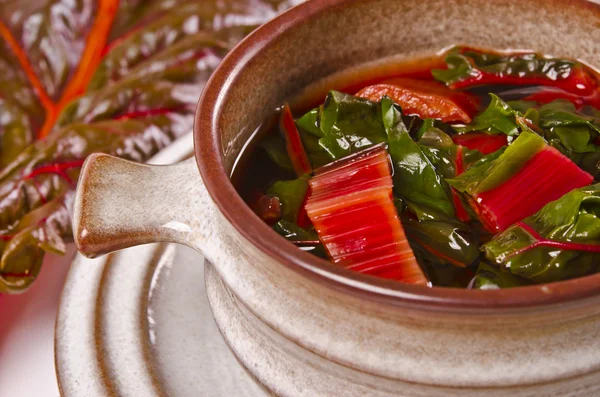 Мангольдский суп — стоковое фото