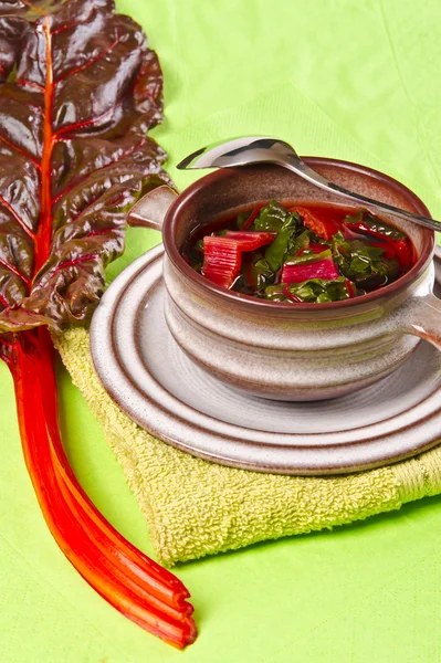 Мангольдский суп — стоковое фото