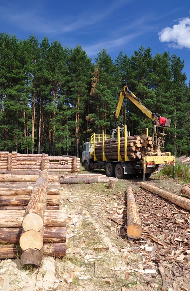 stock image Timber carrying vessel.