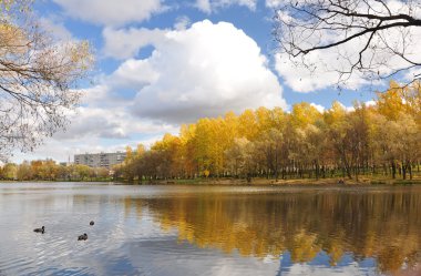 bir su birikintisi bir Şehir Parkı.