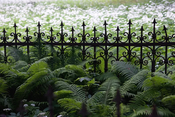 Zaun mit Gras überwuchert — Stockfoto