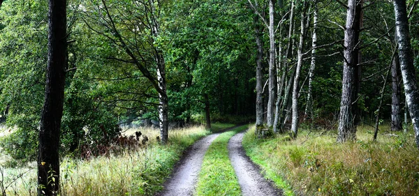 Doğa Güney İsveç'te — Stok fotoğraf