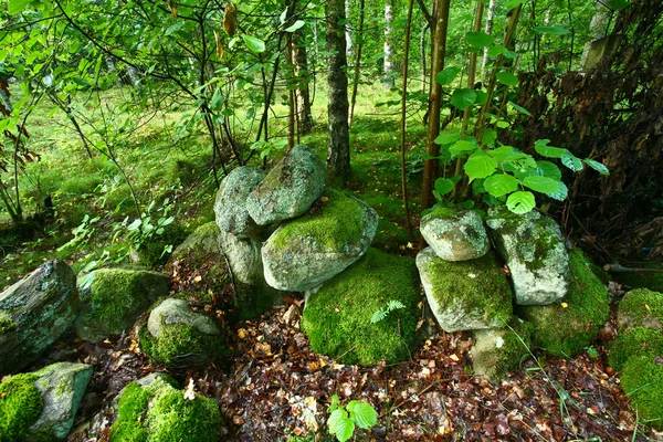 stock image Nature in south Sweden