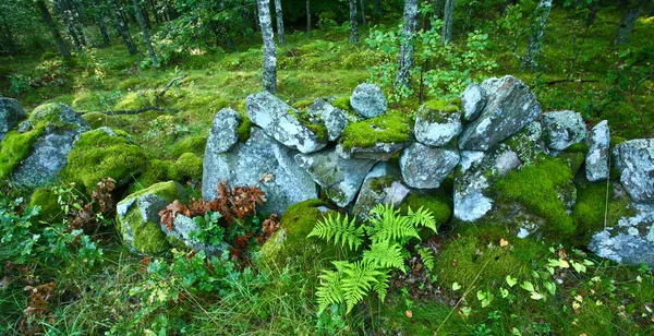 stock image Nature in south Sweden