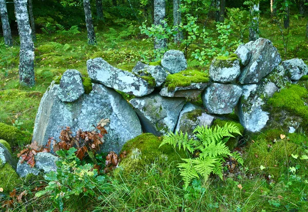 Природи в Південній Швеції — стокове фото