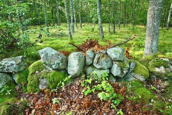 stock image Nature in south Sweden