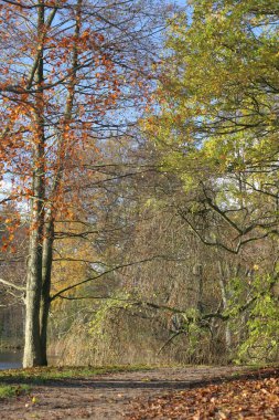 Danimarkalı landscape01