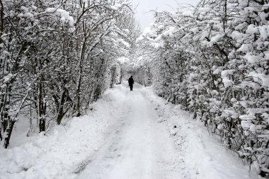 Danimarkalı kış