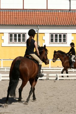 Danish horse farm clipart