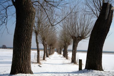 karlı kış