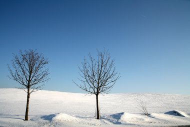 karlı kış