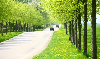 Spring road clipart