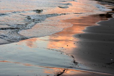 CORSICA CALVI Beach of Calvi clipart