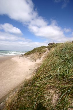 Danimarka yaz: loekken beach,