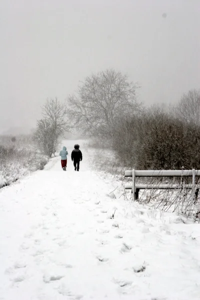 雪のパス上を歩くgå på en snöig väg — ストック写真