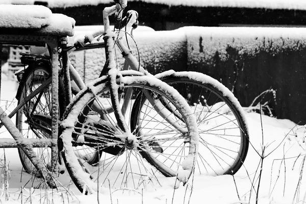 Bicicleta sob neve — Fotografia de Stock