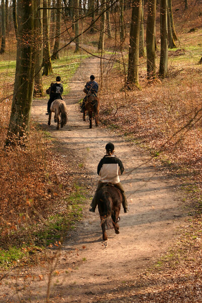 Riding horses