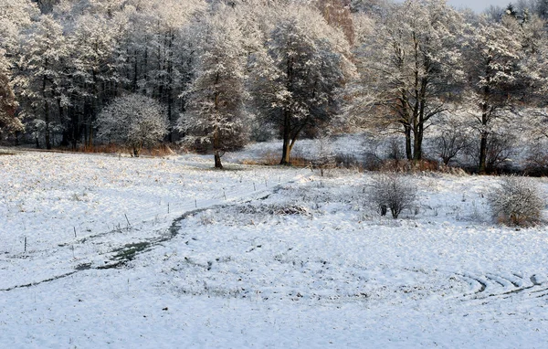 Danimarkalı kış — Stok fotoğraf