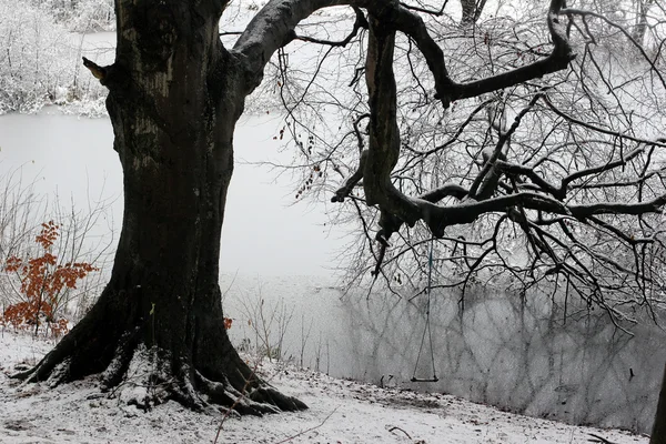Датская зима — стоковое фото